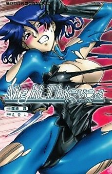 Cover image for the novel called Night Thieves