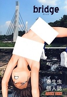 Cover image for the manga called bridge