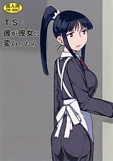 Cover image for the manga called TS: If He Changed into She