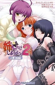 Cover image for the novel called Ane, Chanto Shiyou Yo! 2