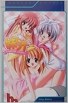 Cover image for the novel called Juicy Sisters