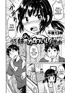 Cover image for the manga called Uchi no Imouto ga Sukoshi Kawaii Ikutsuka no Riyuu