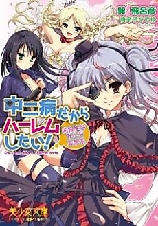Cover image for the novel called Chuunibyou Dakara Harem Shitai! Doukyuusei wa Minna Mousou-kei