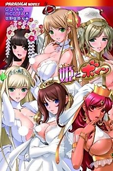 Cover image for the novel called Hime to Boin