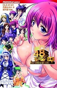 Cover image for the novel called Oppai no Ouja 48