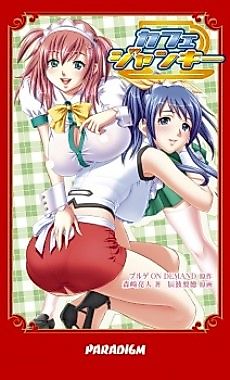 Cover image for the novel called Cafe Junkie