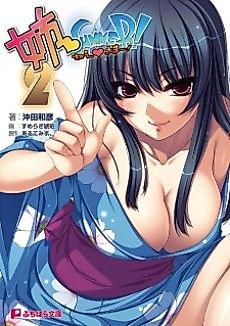 Cover image for the novel called Ane Summer! 2