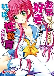 Cover image for the novel called Onii-chan no Koto ga Suki Sugite Ippai Seikyouiku Sareta no!