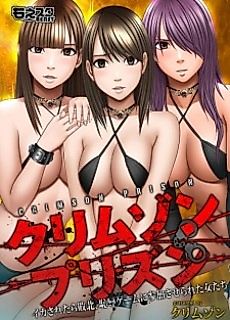 Cover image for the other called Crimson Prison