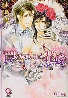 Cover image for the novel called Trapped bride