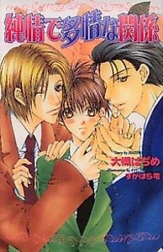 Cover image for the novel called Junjou de Tajou na Kankei
