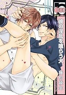 Cover image for the manga called Kare no Inran to Chikan no Honne