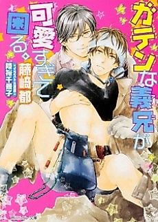 Cover image for the novel called Gaten na Ani ga Kawaisugite Komaru.