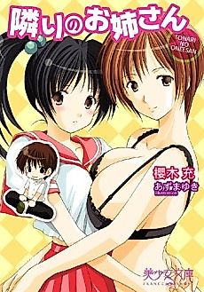 Cover image for the novel called Tonari no Onee-san