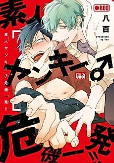 Cover image for the manga called Amateur Delinquent On The Brink!!