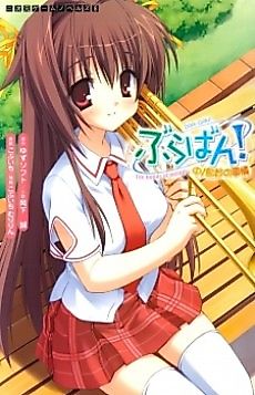 Cover image for the novel called Bra-ban!: Nakanoshima Tae no Jijou