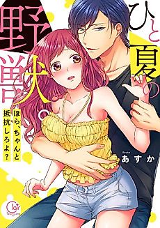 Cover image for the manga called One Summer Hunk