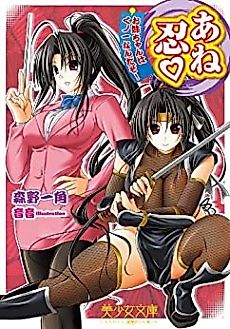 Cover image for the novel called Anenin: Oneechan wa Kunoichi Nanda zo!