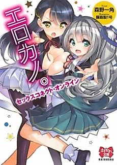 Cover image for the novel called Erokano. Sex Connect Online