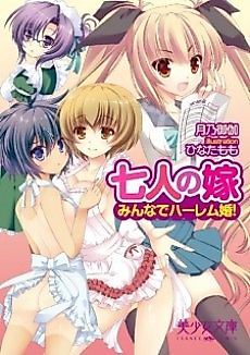 Cover image for the novel called Shichinin no Yome: Minna de Harem-kon!