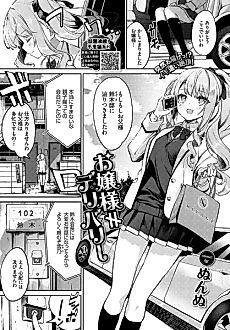 Cover image for the manga called Delivery Princess