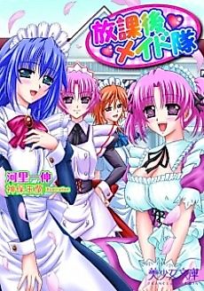 Cover image for the novel called Houkago Maid-tai