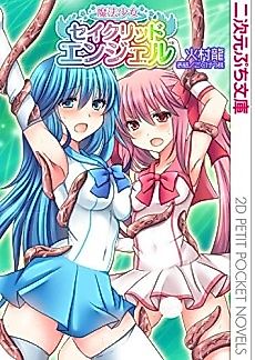 Cover image for the novel called Mahou Shoujo Sacred Angel