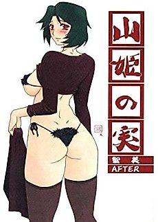 Cover image for the manga called Yama Hime no Mi: Satomi - AFTER