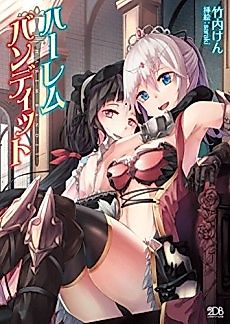 Cover image for the novel called Harem Bandit