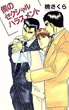 Cover image for the novel called My Sexual Harassment