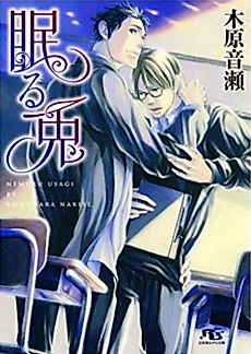 Cover image for the novel called Sleeping Bunny