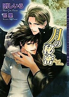 Cover image for the novel called Secret Moon