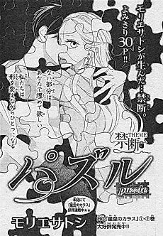 Cover image for the manga called Puzzle (Satoshi MORIE)