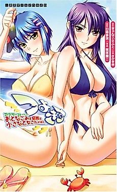 Cover image for the novel called Tsuyokiss Another Story: Oto Nagomi to Nekohime to Chisana Otome-san no Baai