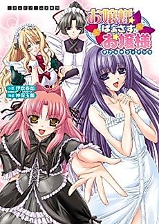 Cover image for the novel called Ojou-sama Versus Ojou-sama