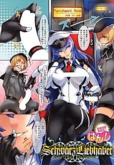 Cover image for the manga called Schwarz Liebhaber