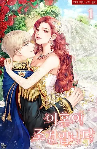 Cover image for My Condition Is Divorce