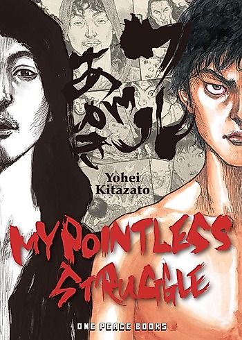 Cover image for My Pointless Struggle