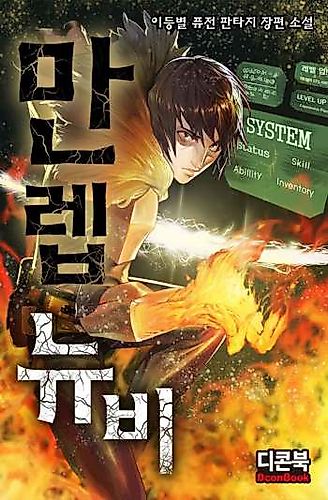 Cover image for Max Level Newbie