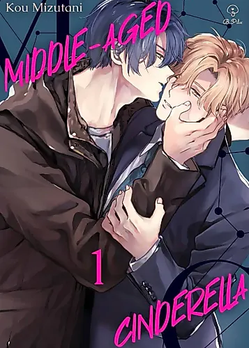 Cover image for Middle-Aged Cinderella