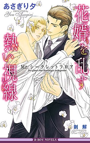 Cover image for Mr. Secret Floor