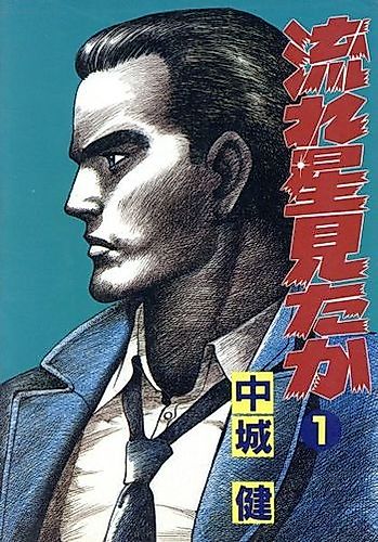Cover image for Did you see a Shooting Star?