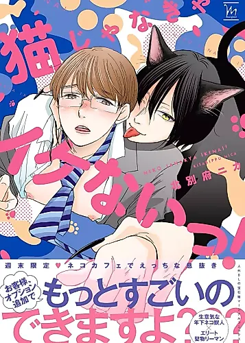 Cover image for Neko ja Nakya Ike nai!