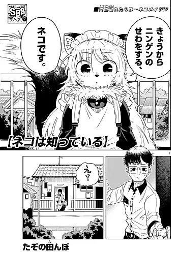 Cover image for Neko wa Shitteiru
