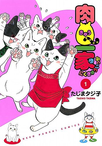 Cover image for Niku Q Ikka