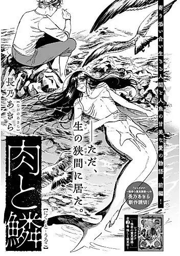Cover image for Niku to Uroko
