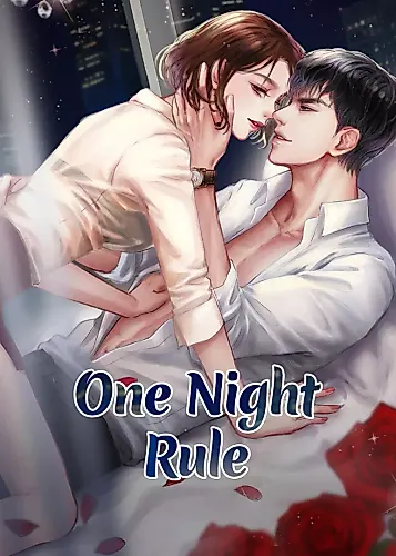 Cover image for One Night Rule