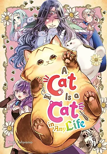 Cover image for A Cat Is a Cat in Any Life