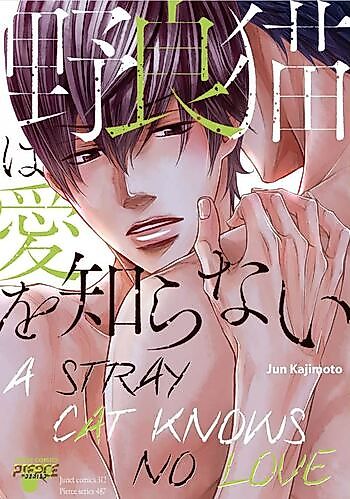 Cover image for A Stray Cat Knows No Love