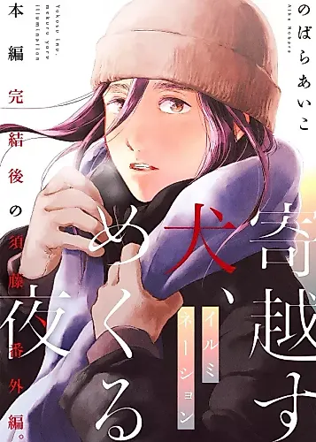 Cover image for A Stray Dog in the Night: Illumination